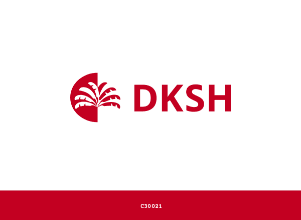 DKSH Holding AG brand color palette