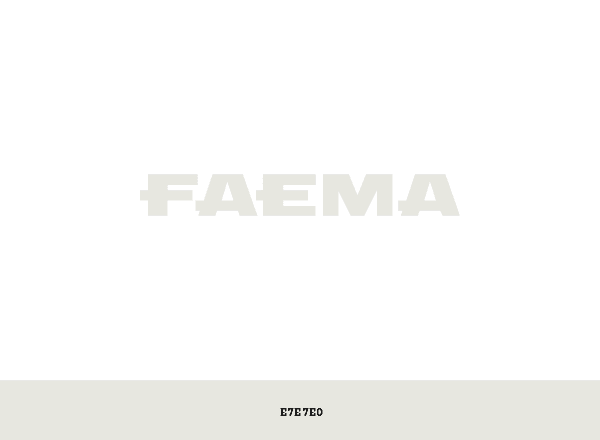 Faema brand color palette