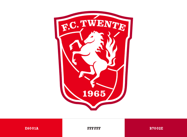 FC Twente brand color palette