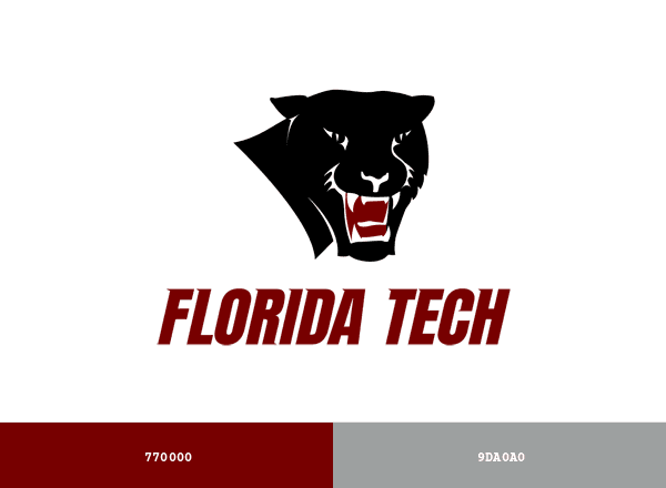 Florida Tech Panthers brand color palette