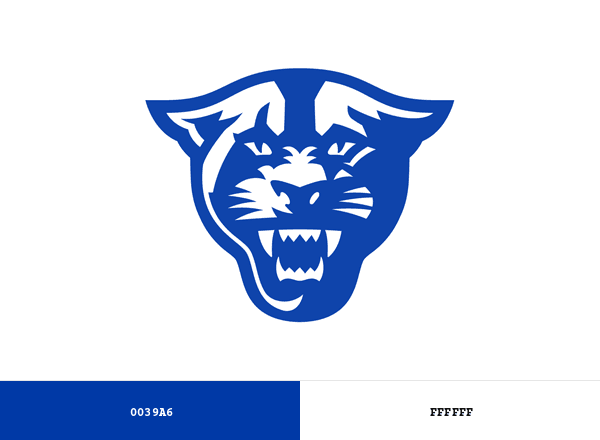Georgia State Panthers brand color palette