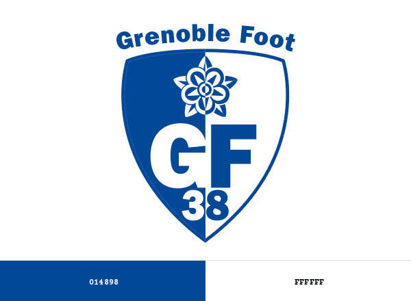 Grenoble Foot 38 brand color palette