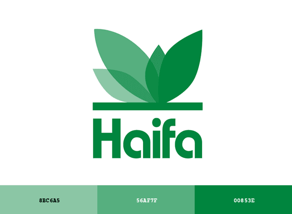 Haifa Group brand color palette