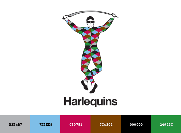 Harlequins brand color palette