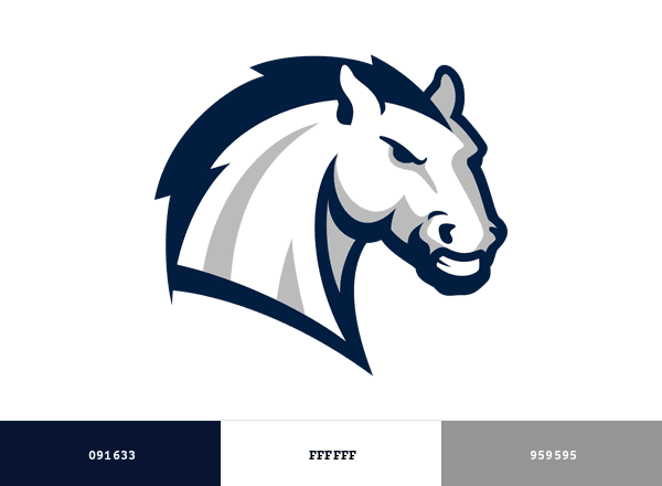 Hillsdale Chargers brand color palette