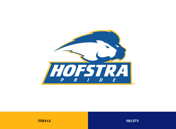 Hofstra Pride brand color palette