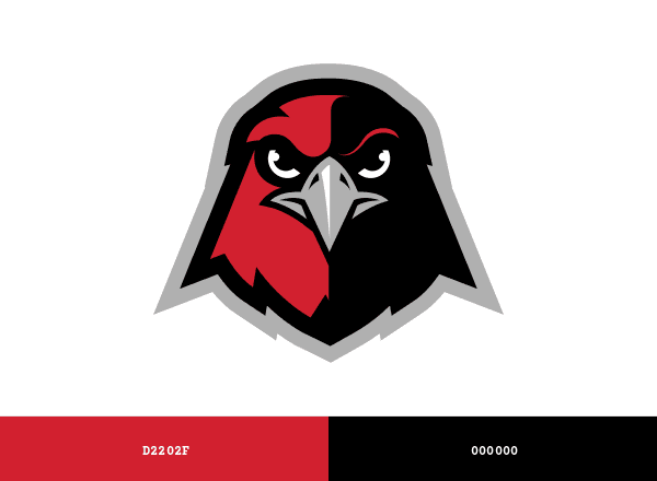 Holy Names Hawks brand color palette