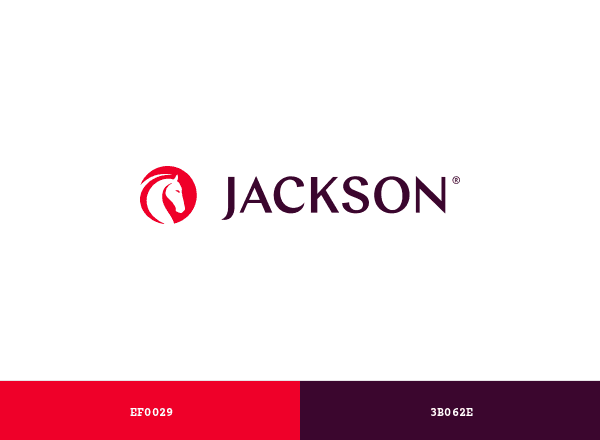 Jackson National Life brand color palette