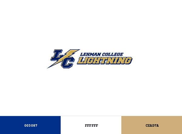 Lehman College Lightning brand color palette