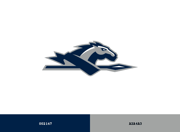 Longwood Lancers brand color palette