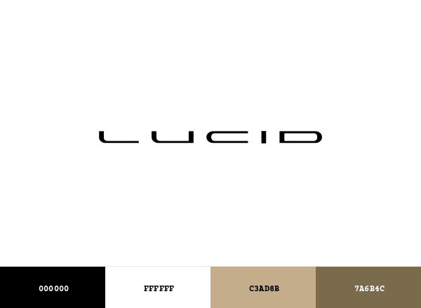 Lucid Motors brand color palette
