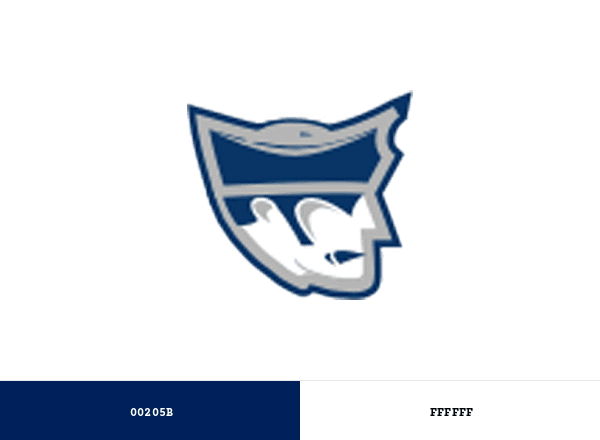 Marietta Pioneers brand color palette