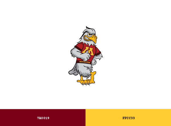 Minnesota Rochester Raptors brand color palette