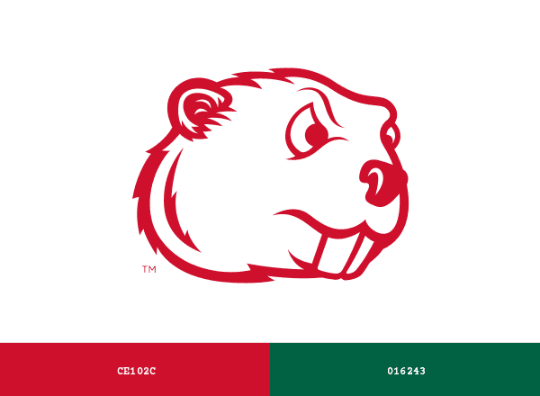 Minot State Beavers brand color palette