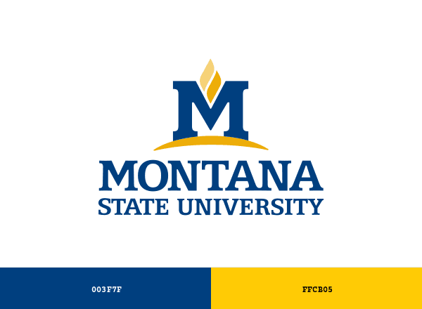Montana State University brand color palette