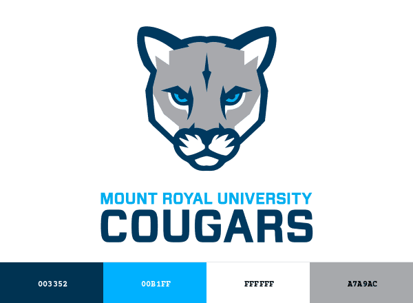 Mount Royal Cougars brand color palette