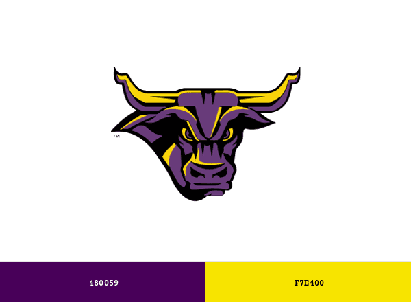 MSU Mavericks brand color palette