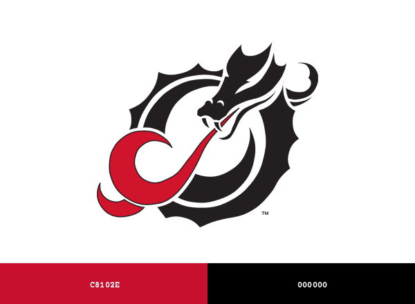 MSUM Dragons brand color palette