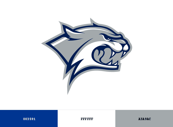 New Hampshire Wildcats brand color palette