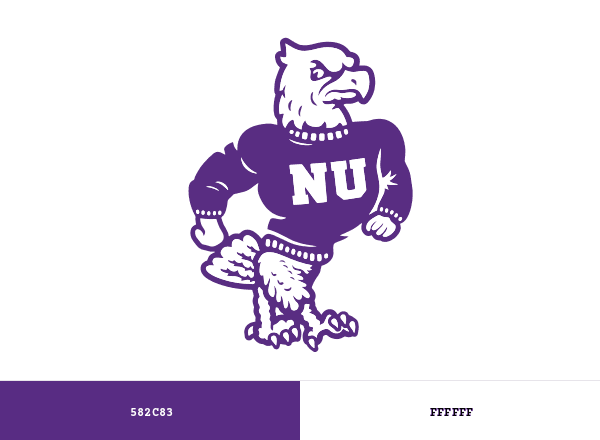 Niagara Purple Eagles brand color palette