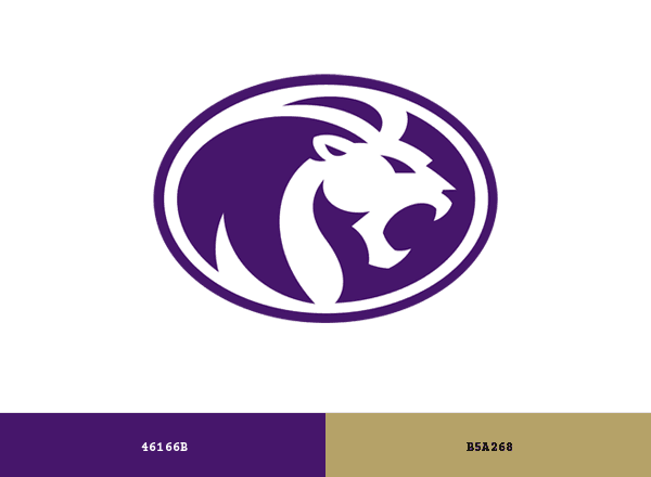 North Alabama Lions brand color palette