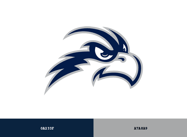 North Florida Ospreys brand color palette
