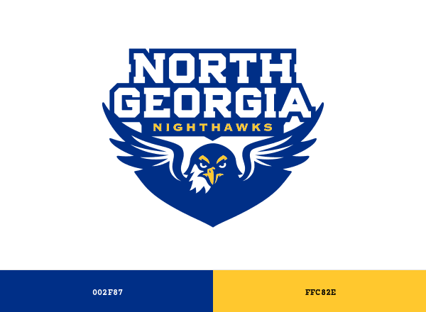 North Georgia Nighthawks brand color palette