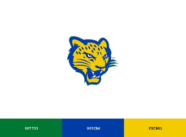 North Texas Trailblazers brand color palette