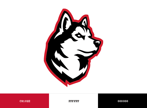 Northeastern Huskies brand color palette