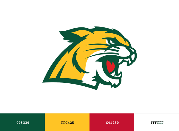 Northern Michigan Wildcats brand color palette