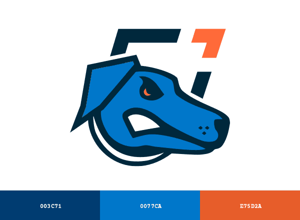 Ontario Tech Ridgebacks brand color palette
