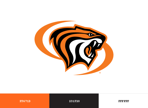 Pacific Tigers brand color palette