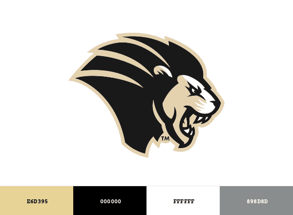 PNW pride brand color palette