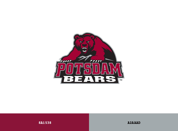 Potsdam Bears brand color palette