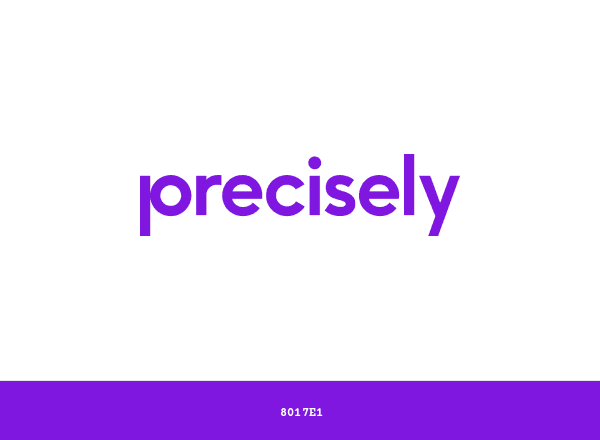 Precisely brand color palette