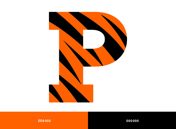 Princeton Tigers brand color palette