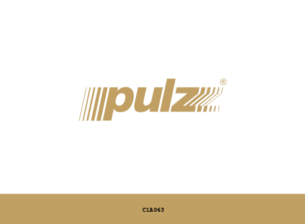 Pulz Electronics Ltd. brand color palette