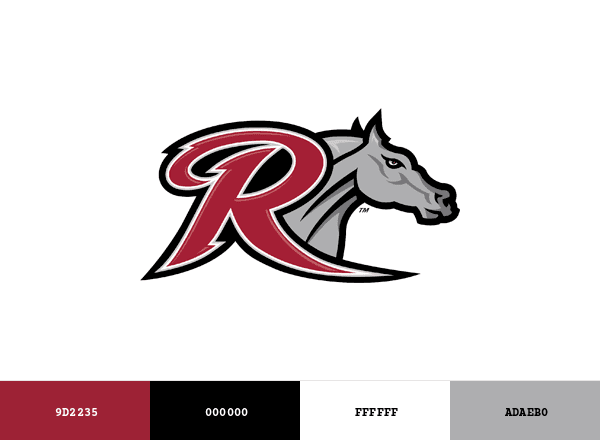Rider Broncs brand color palette