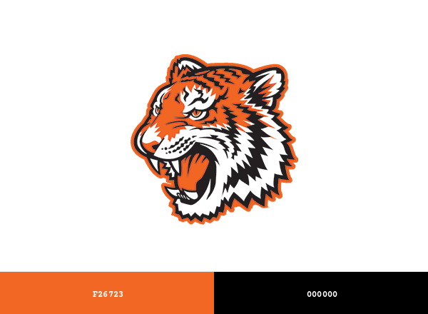 Riverside City Tigers brand color palette