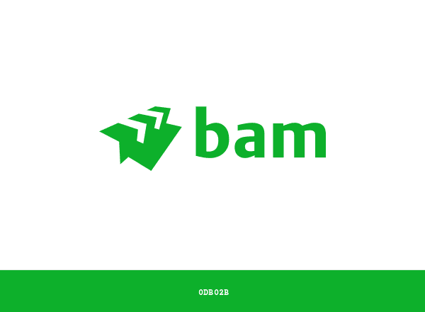 Royal BAM Group brand color palette
