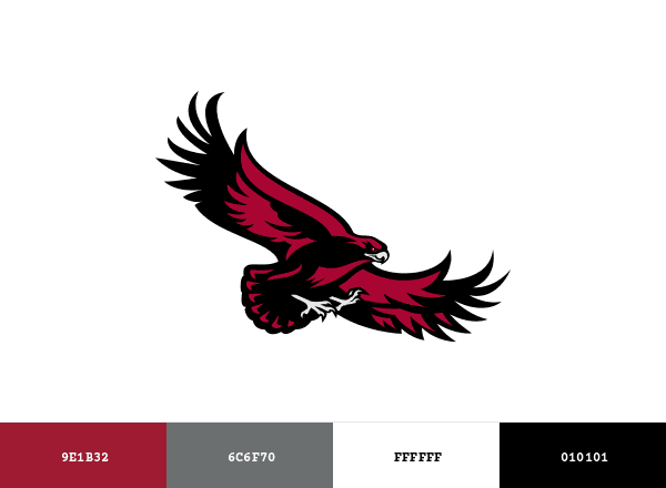 Saint Joseph’s Hawks brand color palette