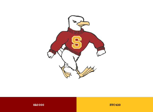 Salisbury Sea Gulls brand color palette