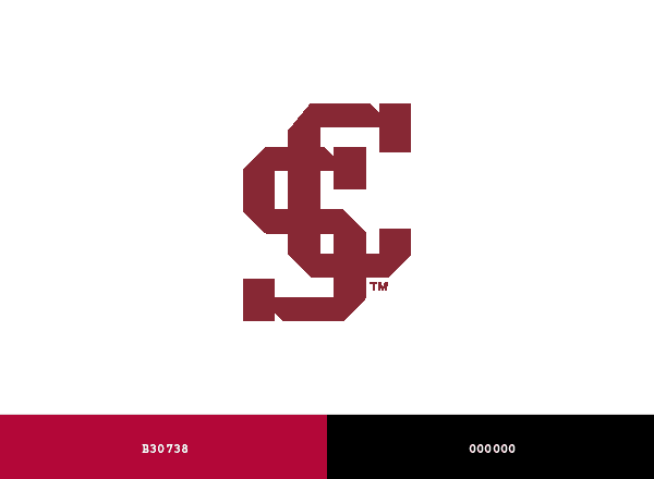 Santa Clara Broncos brand color palette