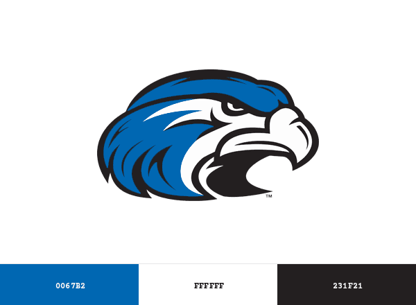 Shorter Hawks brand color palette