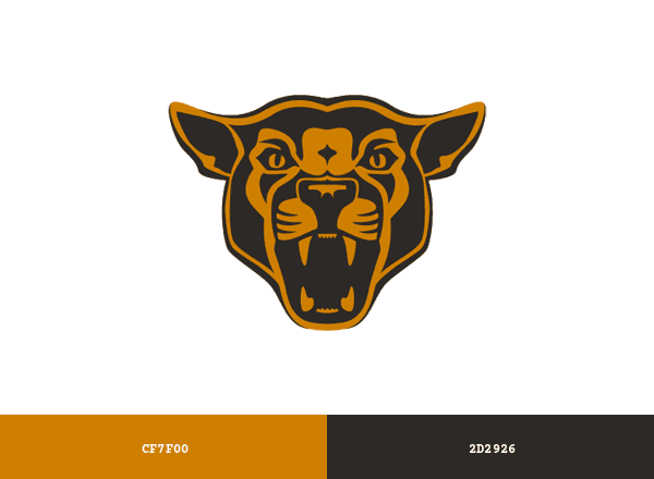 South Mountain Cougars brand color palette