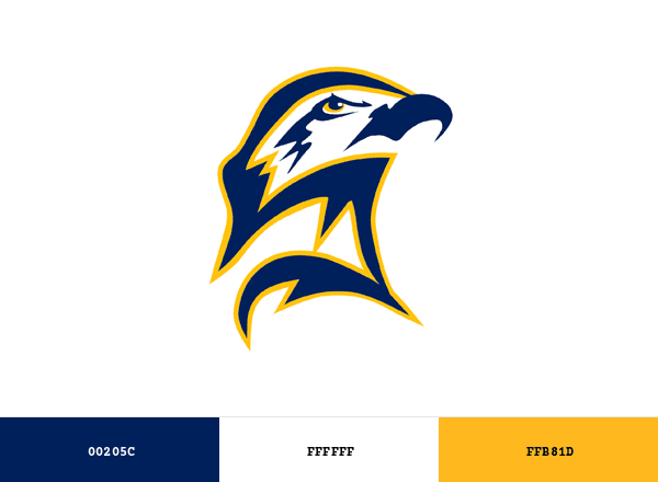 St. Mary’s Seahawks brand color palette