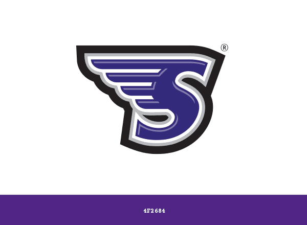Stonehill Skyhawks brand color palette