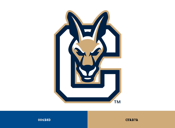 SUNY Canton Roos brand color palette