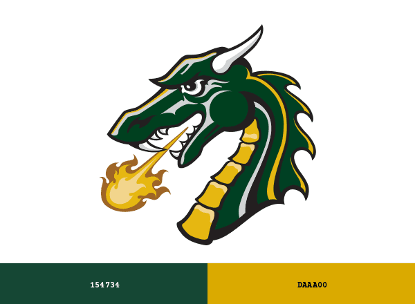 Tiffin Dragons brand color palette
