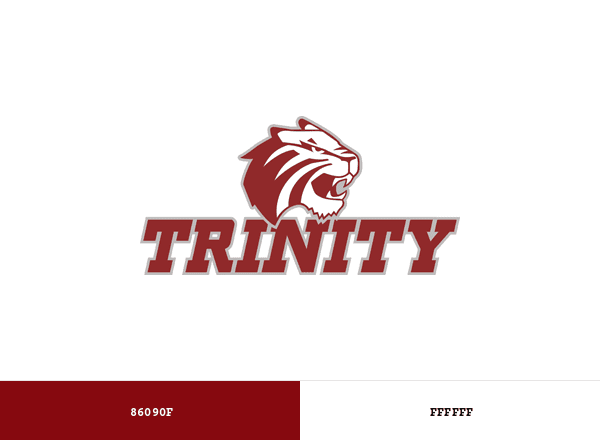 Trinity Tigers brand color palette